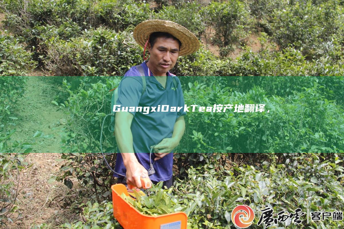 Guangxi Dark Tea（按产地翻译，意为广西黑茶）