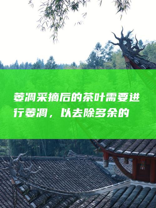 萎凋：采摘后的茶叶需要进行萎凋，以去除多余的水分和促进香气物质的形成。