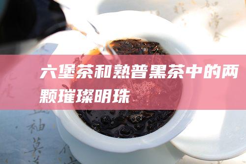 六堡茶和熟普：黑茶中的两颗璀璨明珠