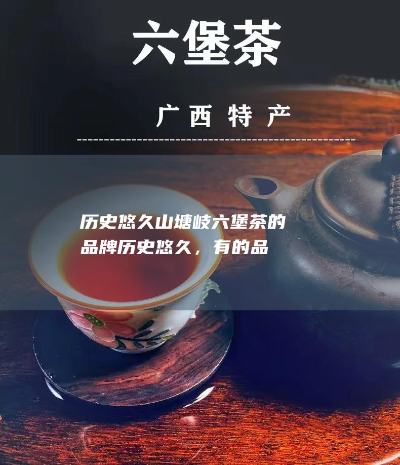 历史悠久：山塘岐六堡茶的品牌历史悠久，有的品牌甚至可以追溯到清朝末期。长久的历史积淀，使得这些品牌拥有深厚的文化底蕴和良好的口碑。