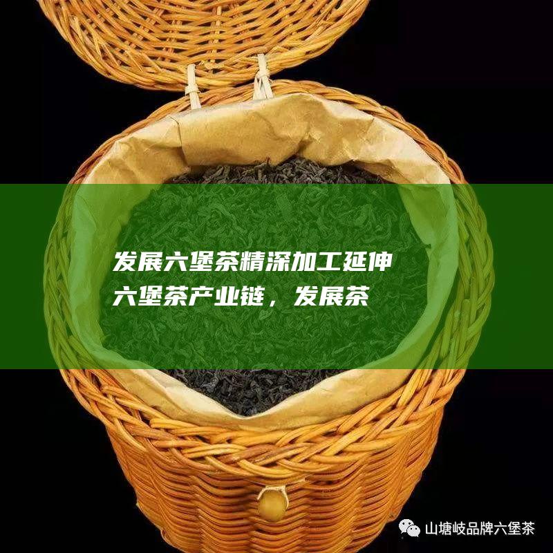 发展六堡茶精深加工：延伸六堡茶产业链，发展茶叶精深加工，提高六堡茶的附加值。