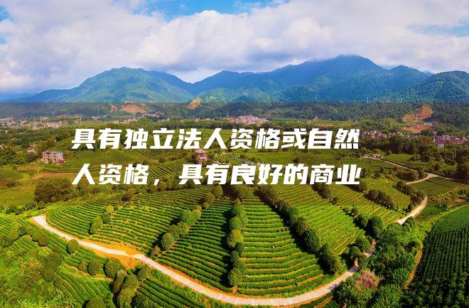 具有独立法人资格或自然人资格，具有良好的商业信誉，无不良记录。