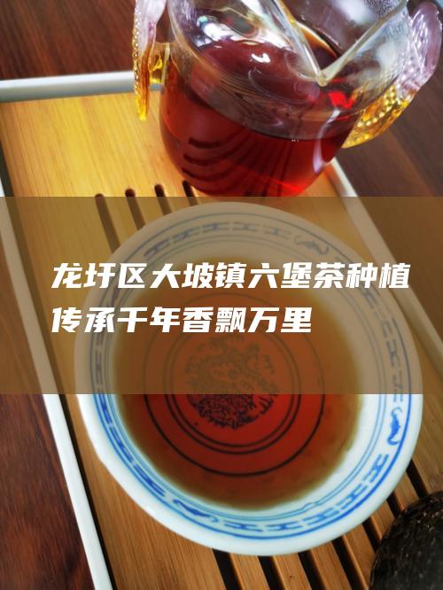 龙圩区大坡镇六堡茶种植：传承千年、香飘万里