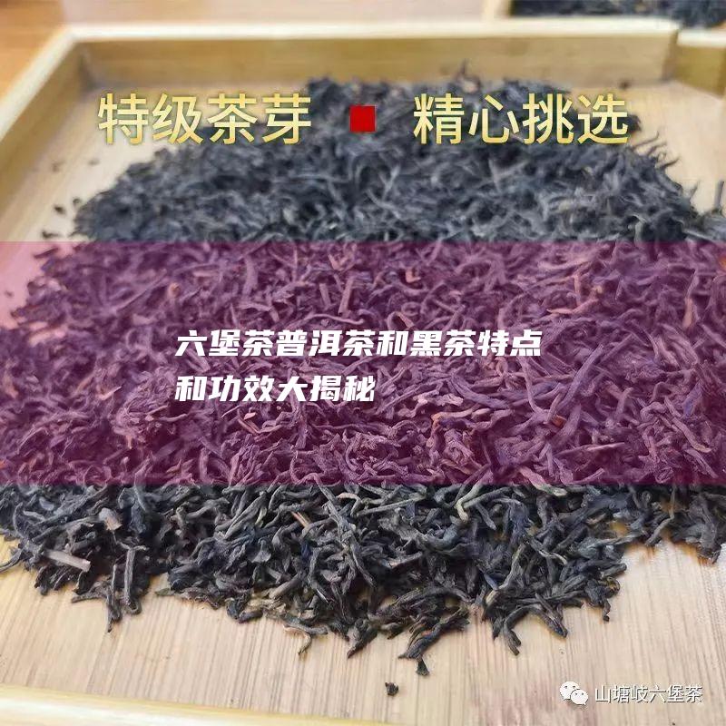 六堡茶、普洱茶和黑茶：特点和功效大揭秘