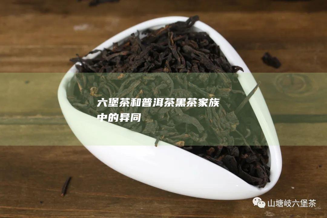 六堡茶和普洱茶：黑茶家族中的异同