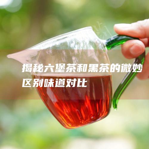 揭秘六堡茶和黑茶的微妙区别：味道对比