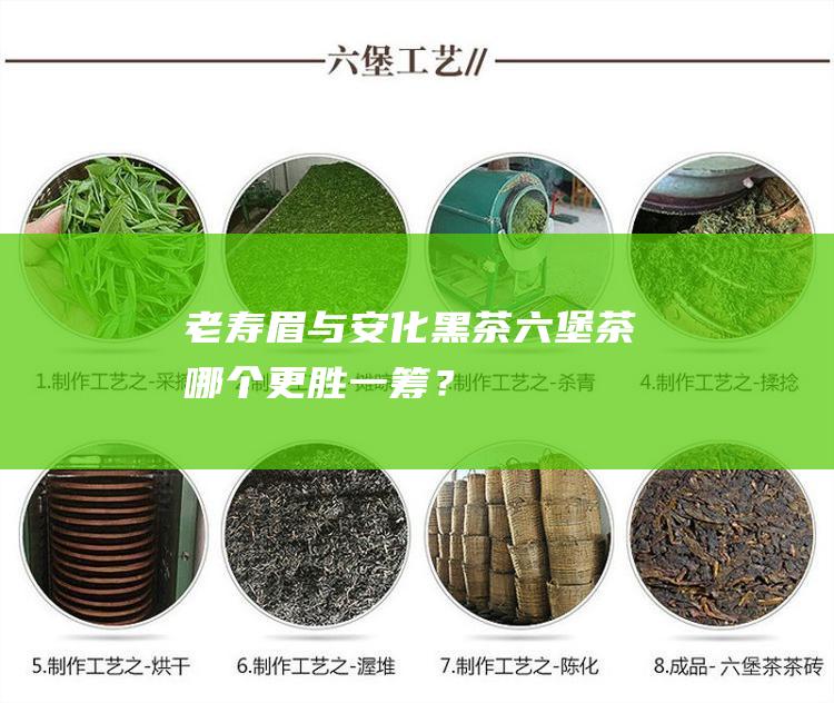 老寿眉与安化黑茶六堡茶：哪个更胜一筹？