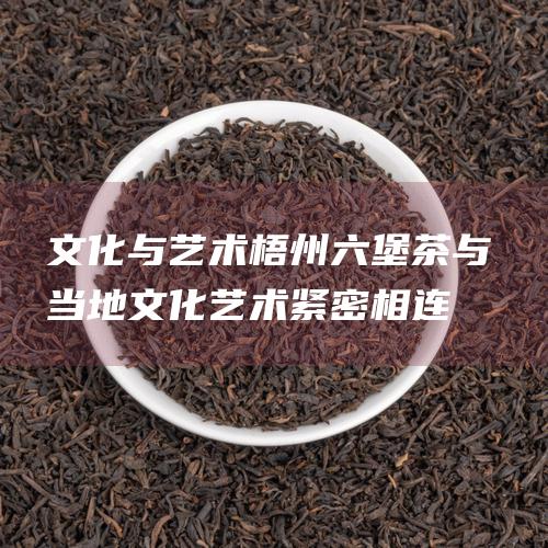 文化与艺术：梧州六堡茶与当地文化艺术紧密相连，体现了岭南地区的独特风情，富有文化底蕴。