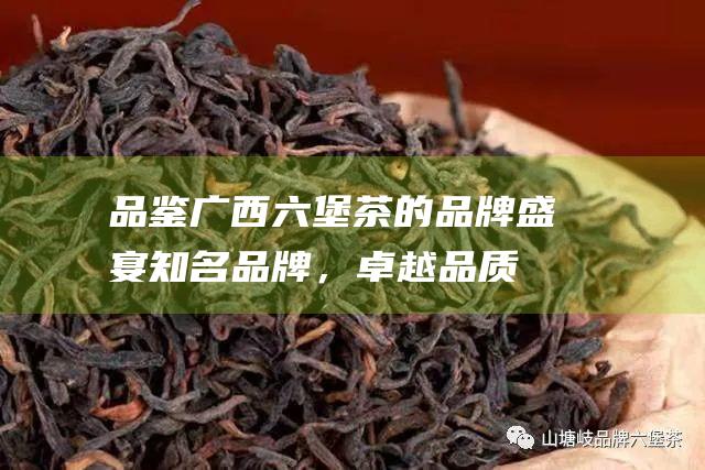 品鉴广西六堡茶的品牌盛宴：知名品牌，卓越品质