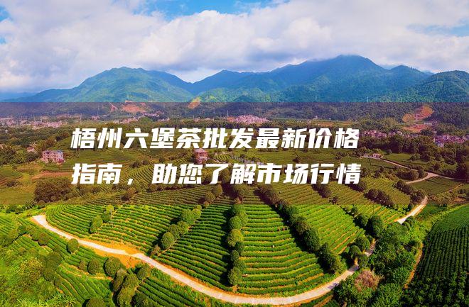 六堡茶最新价格指南，助您了解市场行情