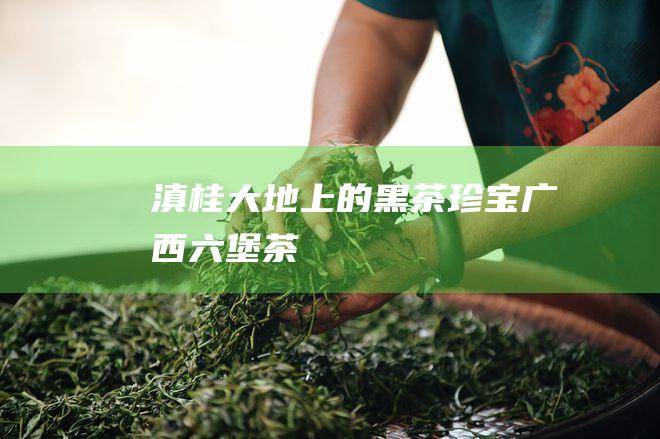 滇桂大地上的黑茶珍宝：广西六堡茶