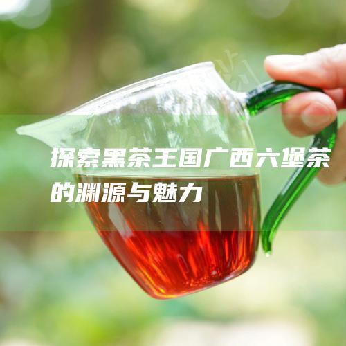 探索黑茶王国：广西六堡茶的渊源与魅力