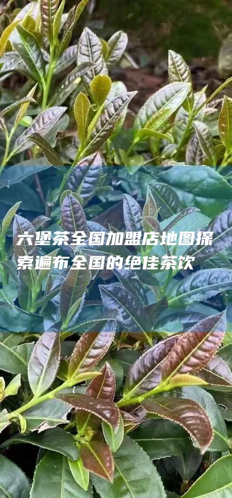 六堡茶全国加盟店地图：探索遍布全国的绝佳茶饮机会