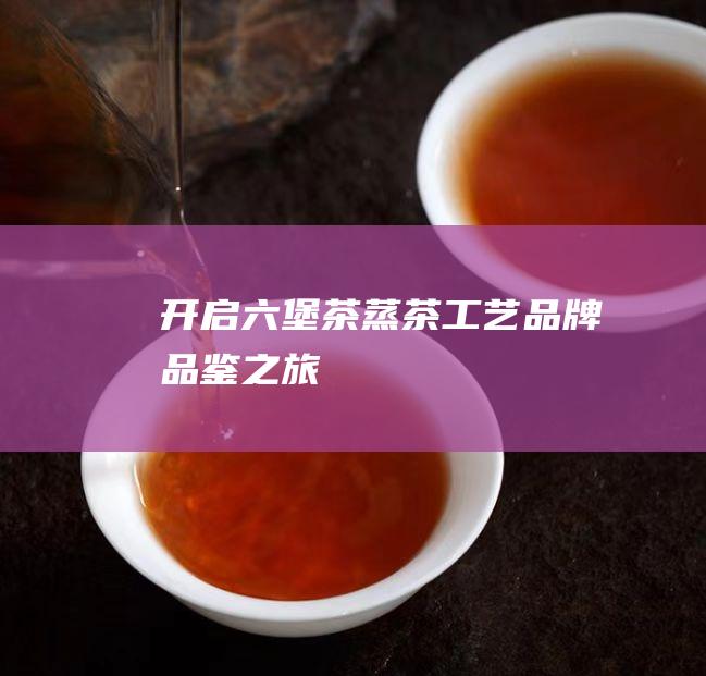 开启六堡茶蒸茶工艺品牌品鉴之旅