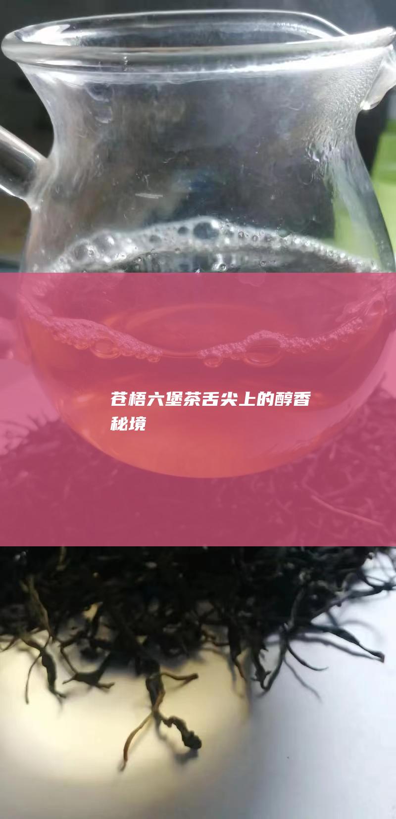 苍梧六堡茶：舌尖上的醇香秘境