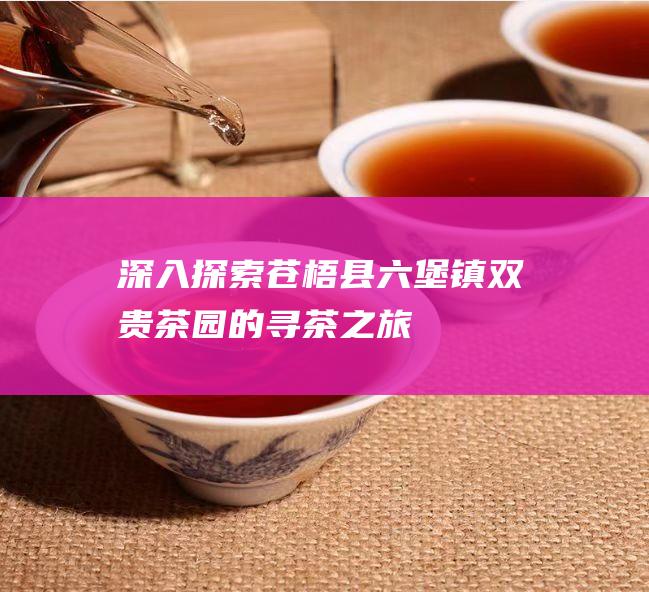 深入探索苍梧县六堡镇双贵茶园的寻茶之旅