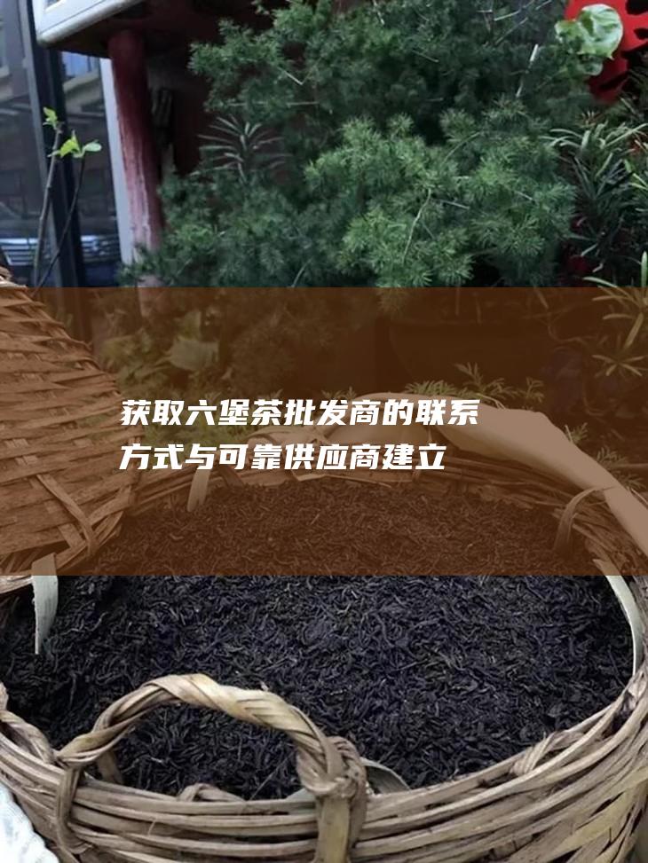 获取六堡茶批发商的联系方式：与可靠供应商建立联系