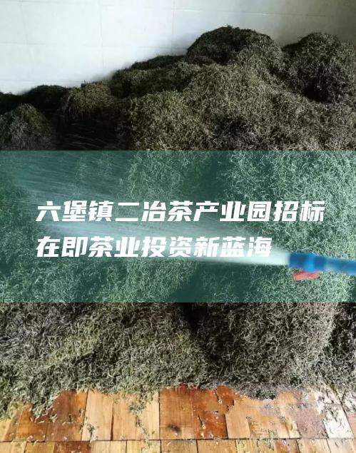 六堡镇二冶茶产业园招标在即：茶业投资新蓝海