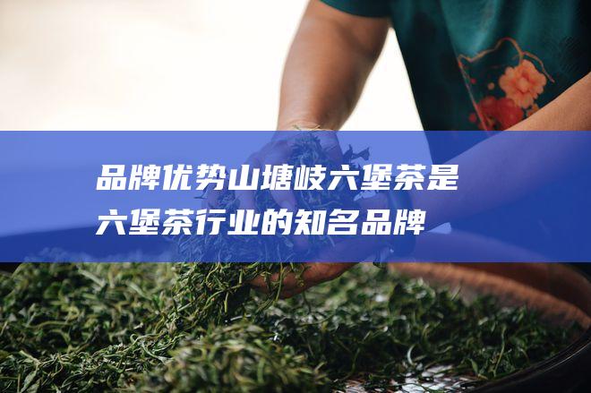 品牌优势：山塘岐六堡茶是六堡茶行业的知名品牌，拥有良好的市场口碑和消费基础。加盟山塘岐六堡茶，您可以直接借助品牌的优势，迅速打开市场。