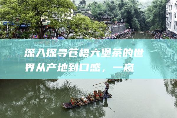 深入探寻苍梧六堡茶的世界：从产地到口感，一窥其独特魅力