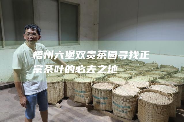 梧州六堡双贵茶园：寻找正宗茶叶的必去之地