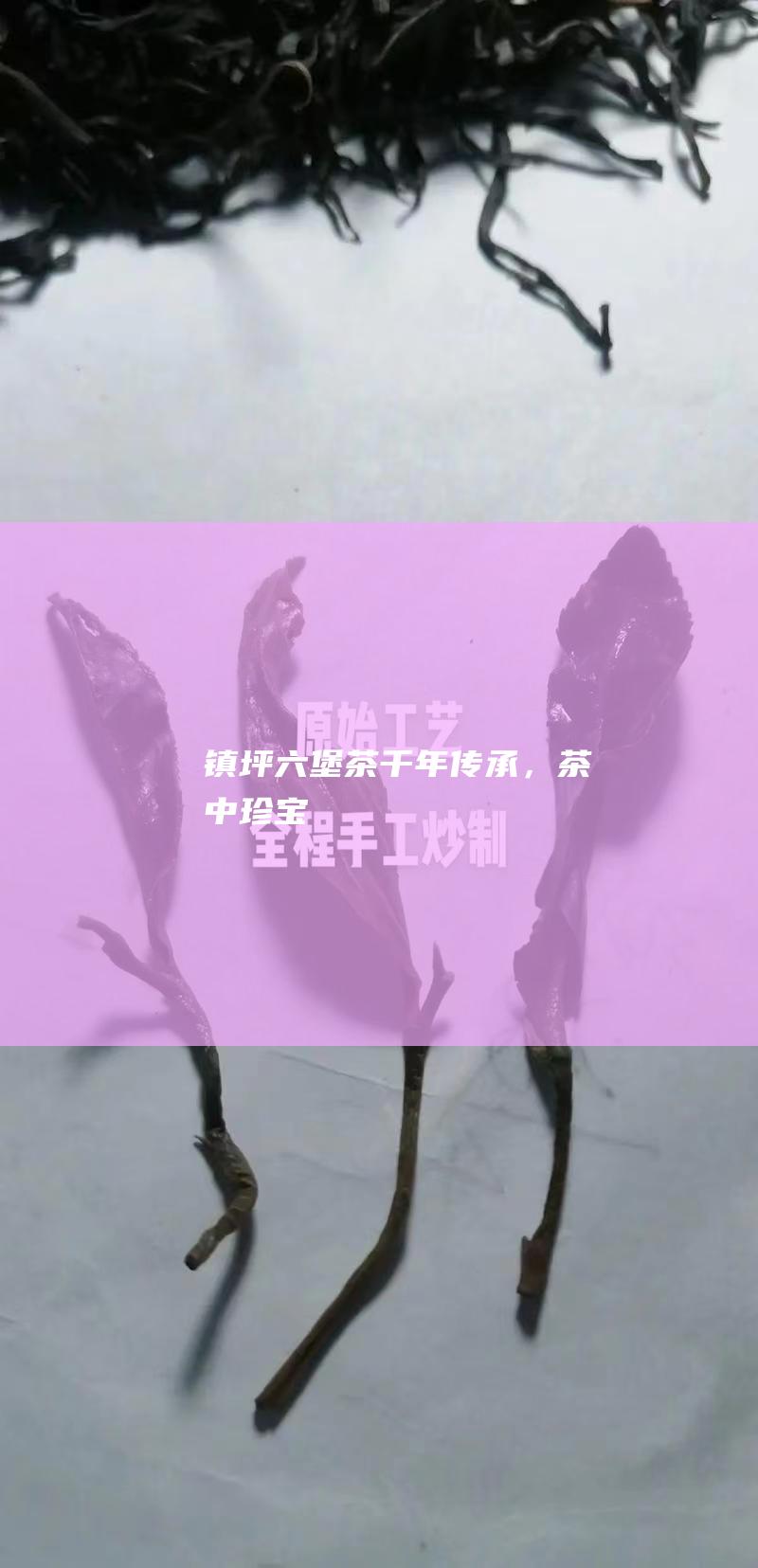 镇坪千年传承，茶中珍宝