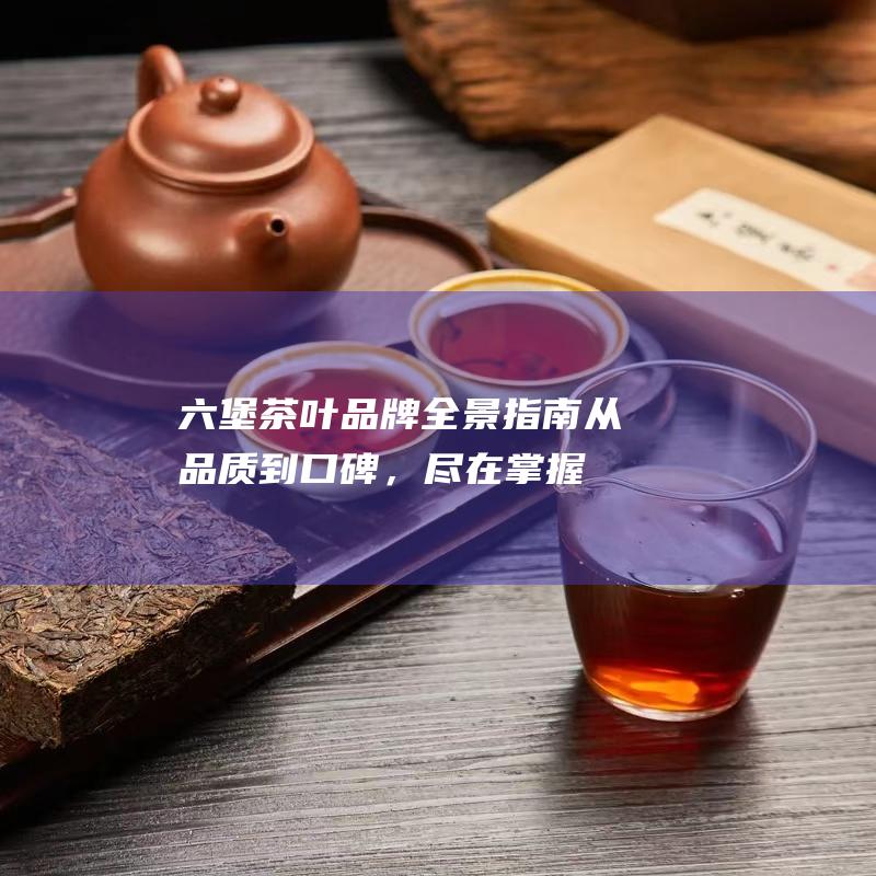 六堡茶叶品牌全景指南：从品质到口碑，尽在掌握