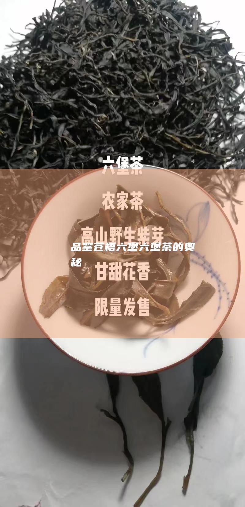 品鉴苍梧茶的奥秘