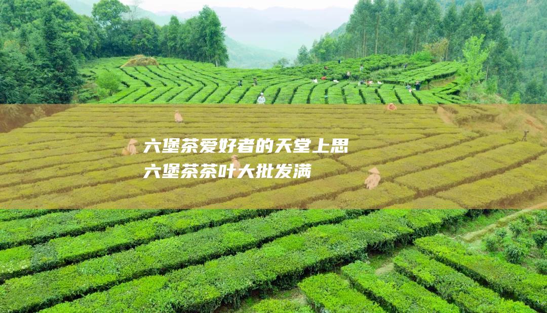 六堡茶爱好者的天堂: 上思六堡茶茶叶大批发,满足您的需求