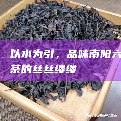 以水为引，品味南阳六堡茶的丝丝缕缕