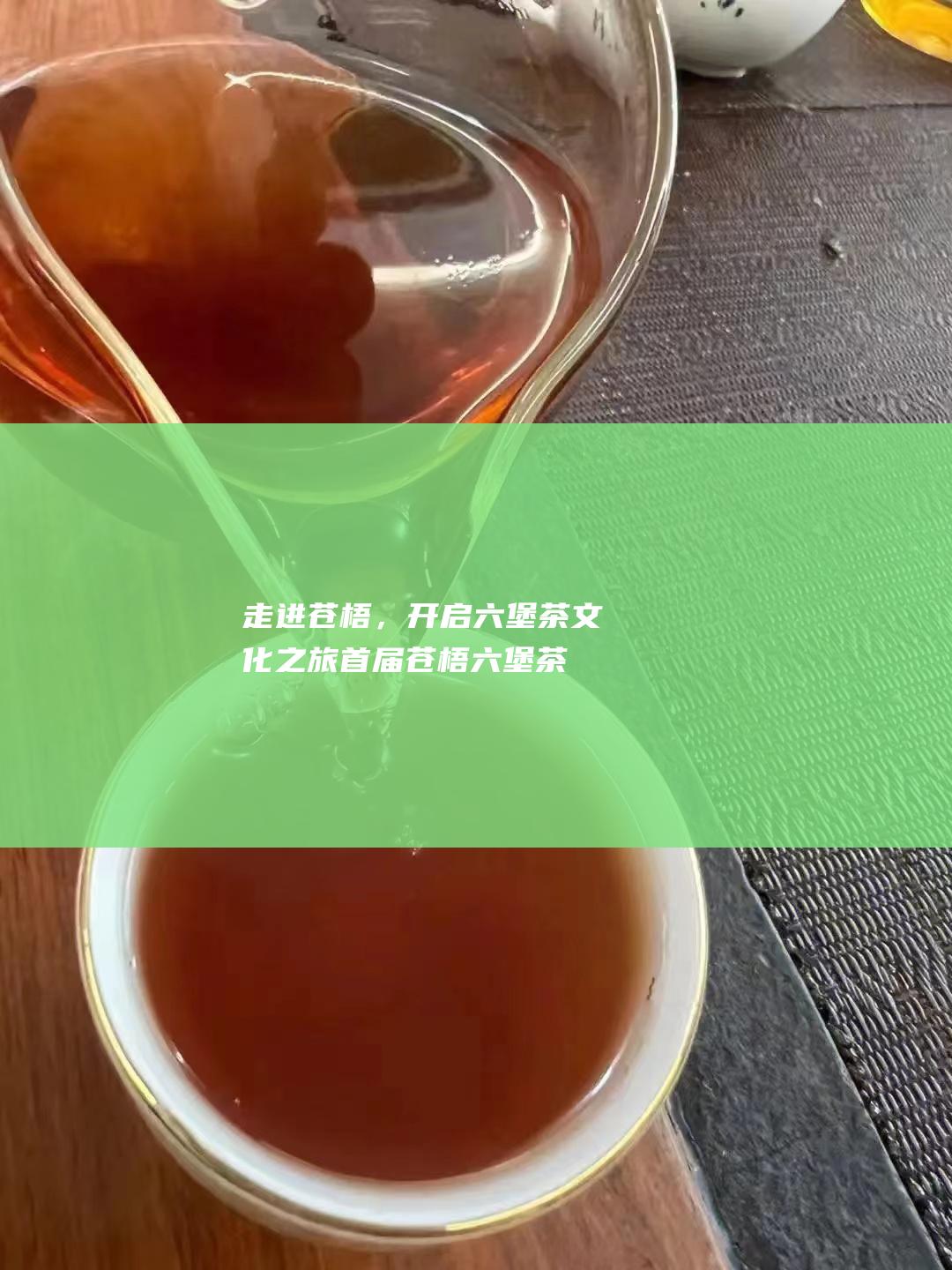 走进苍梧，开启六堡茶文化之旅：首届苍梧六堡茶文化旅游节盛大开启