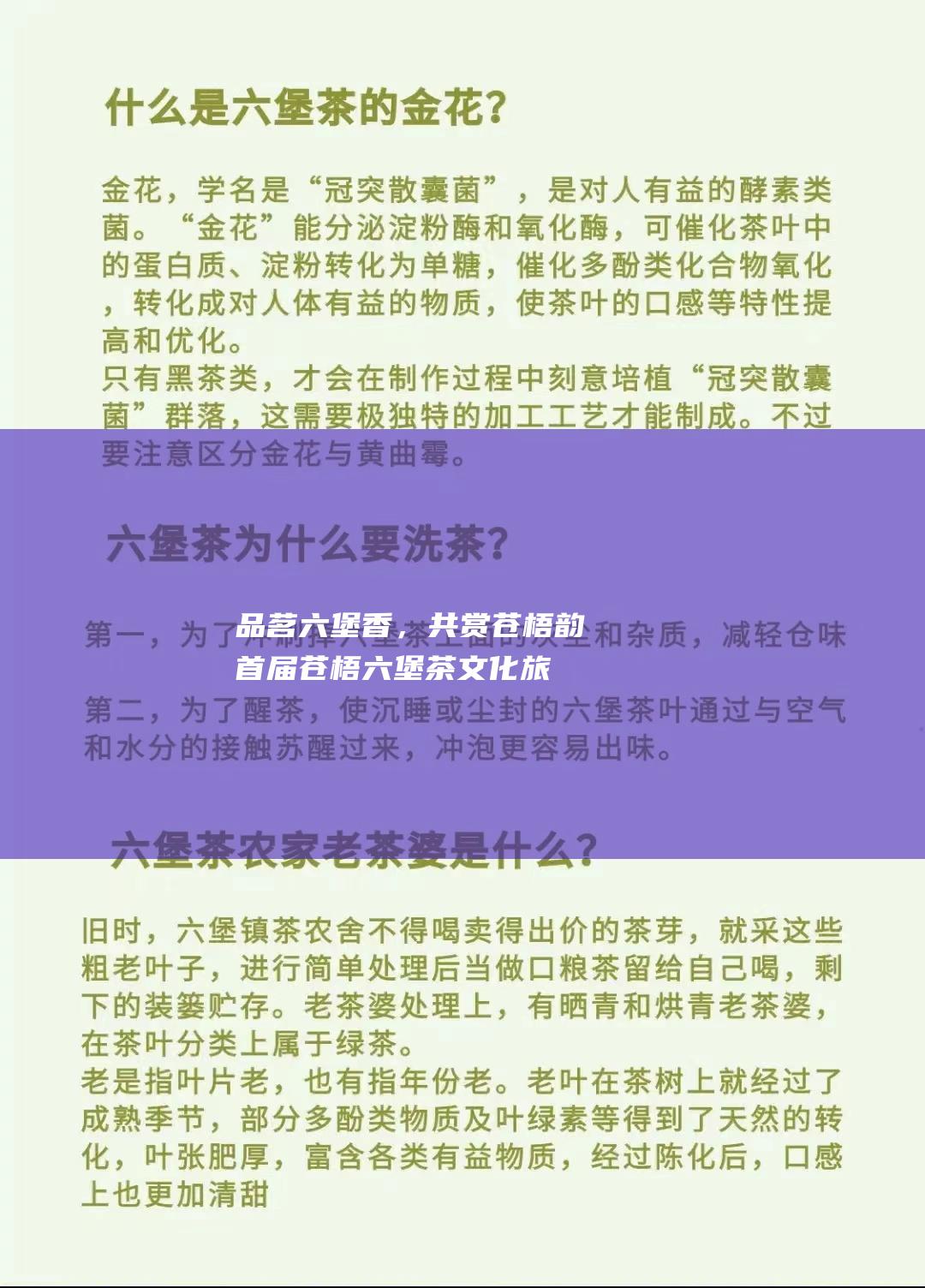 品茗六堡香，共赏苍梧韵：首届苍梧六堡茶文化旅游节邀您共襄盛举