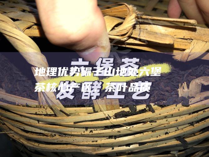 地理优势：碾子山地处六堡茶核心产区，茶叶品质优越。茶叶直接从茶农手中收购，省去了中间环节，确保了茶叶的新鲜度和品质。