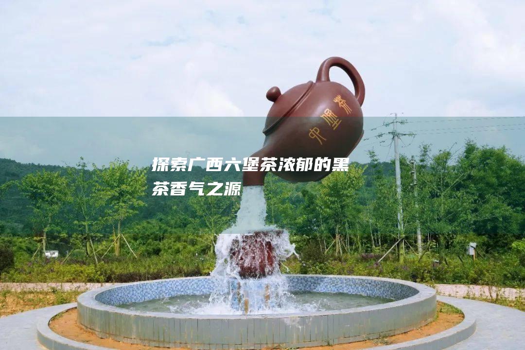 探索广西六堡茶：浓郁的黑茶香气之源