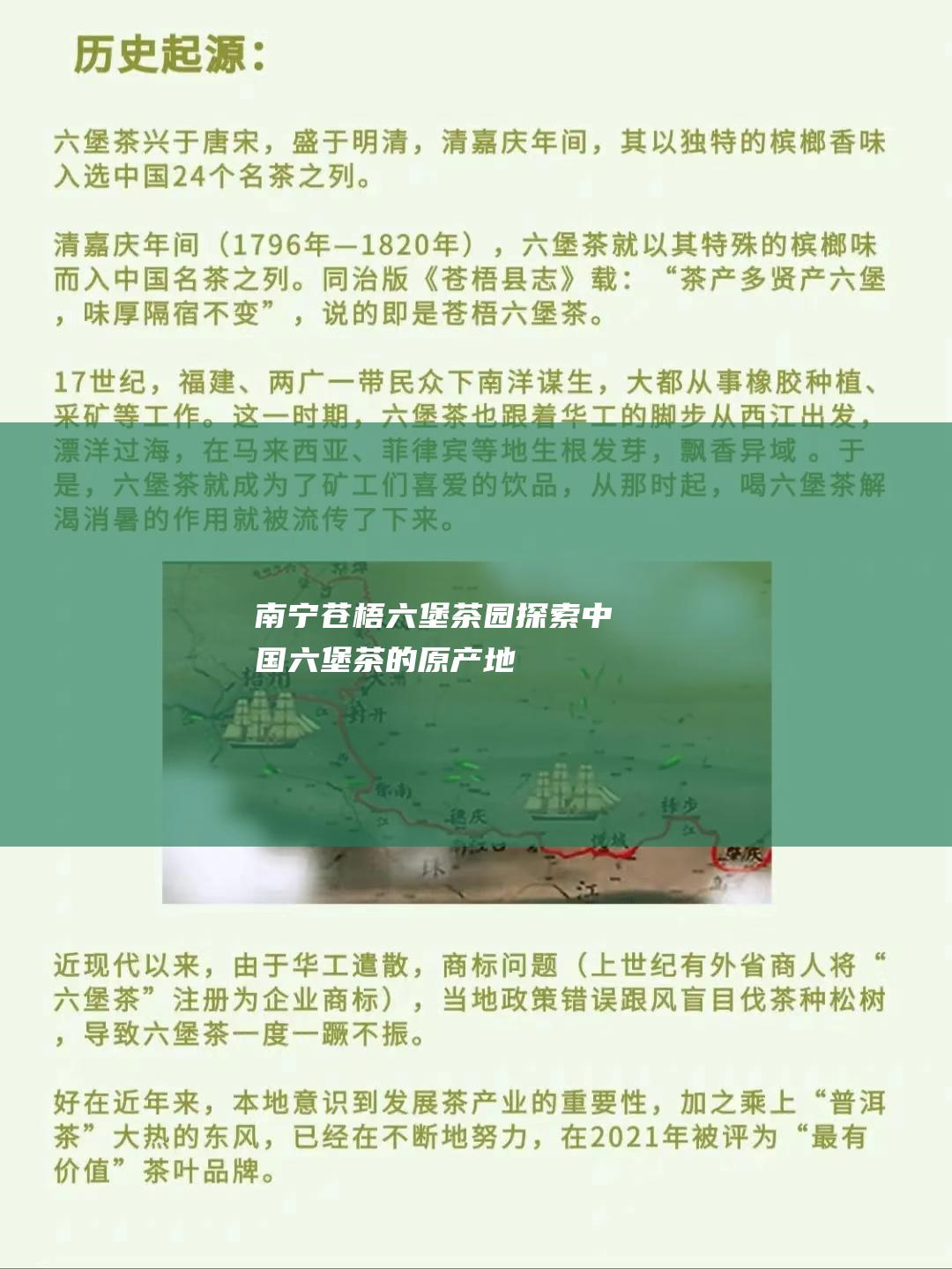 南宁苍梧六堡茶园: 探索中国六堡茶的原产地