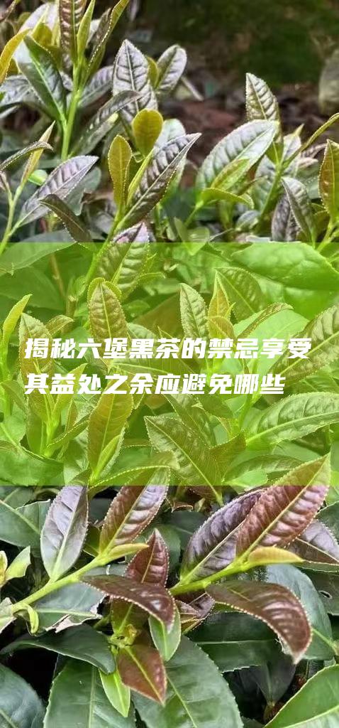 揭秘六堡黑茶的禁忌：享受其益处之余应避免哪些情况