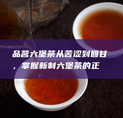 品茗六堡茶从苦涩到回甘，掌握新制六堡茶的正