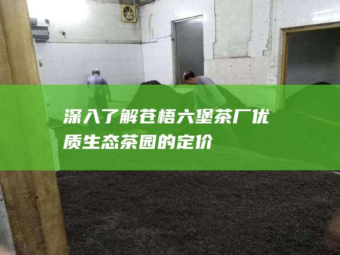 深入了解苍梧六堡茶厂：优质生态茶园的定价