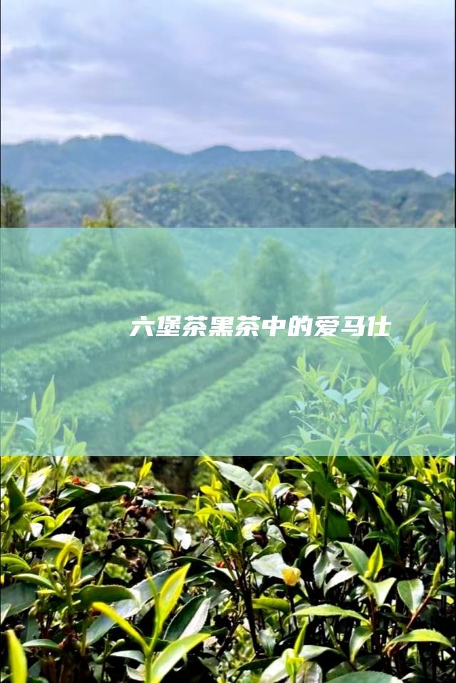 六堡茶：黑茶中的爱马仕