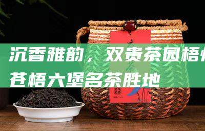 沉香雅韵，双贵茶园梧州苍梧六堡名茶胜地