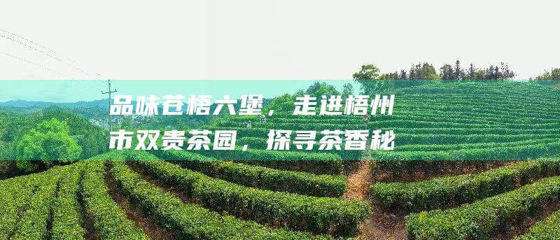 品味苍梧六堡，走进梧州市双贵茶园，探寻茶香秘境