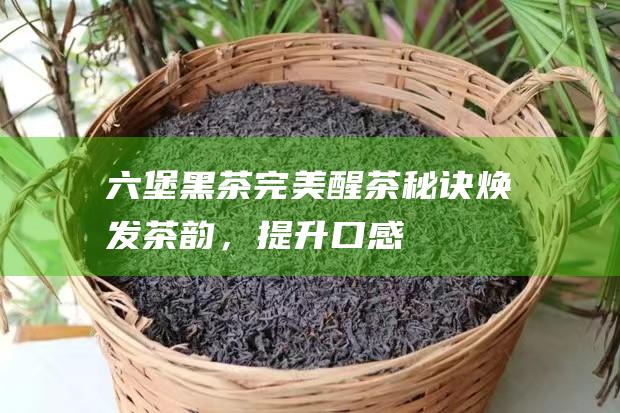 六堡完美醒茶秘诀焕发茶韵，提升口感