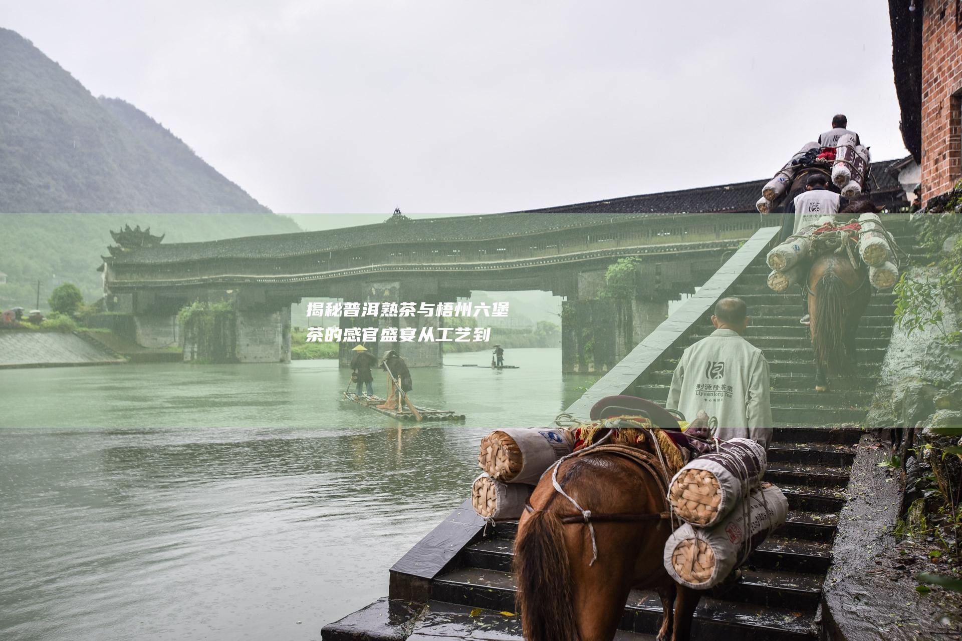 揭秘普洱熟茶与梧州茶的感官盛宴从工艺到