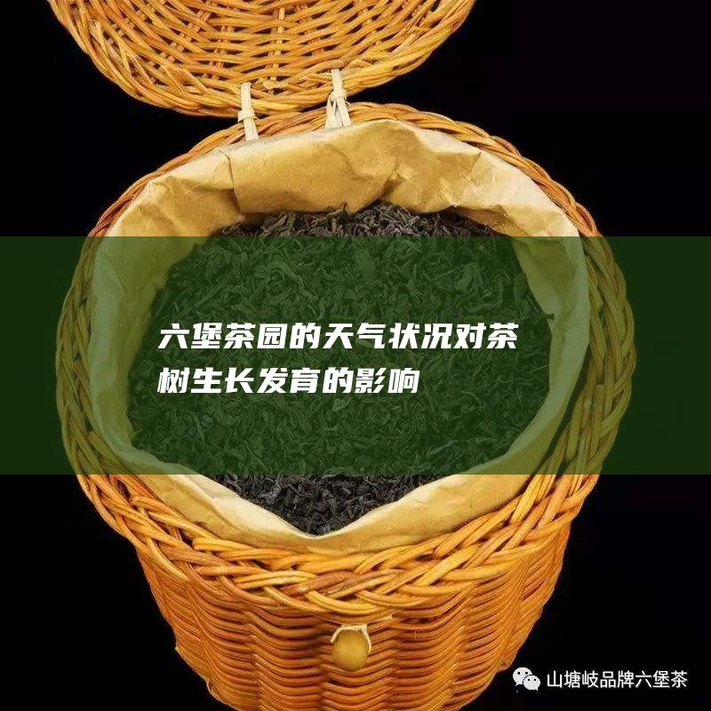 六堡茶园的天气状况：对茶树生长发育的影响