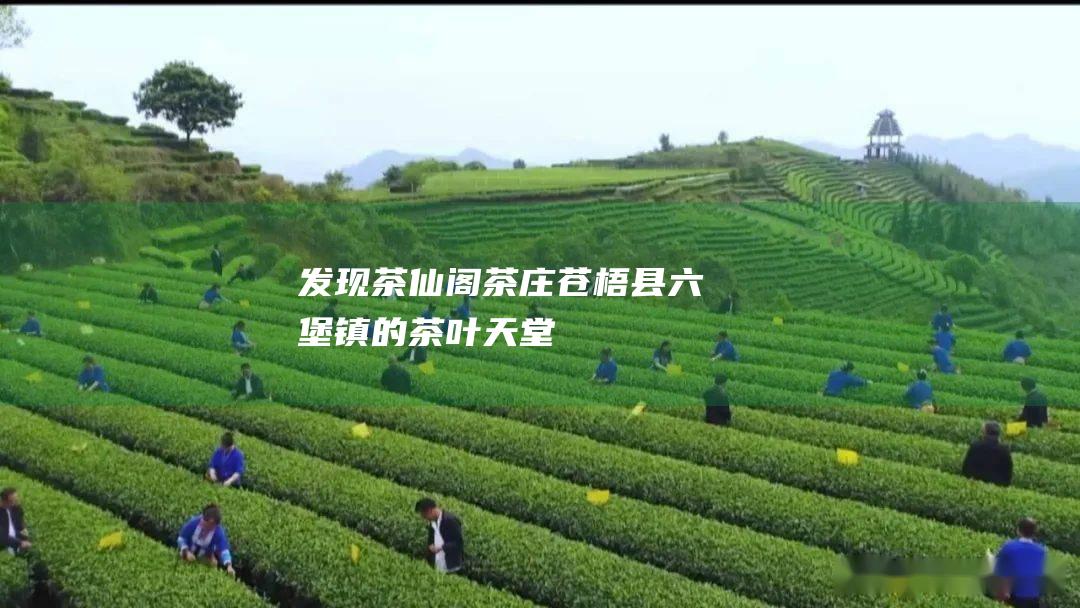 发现茶仙阁茶庄：苍梧县六堡镇的茶叶天堂