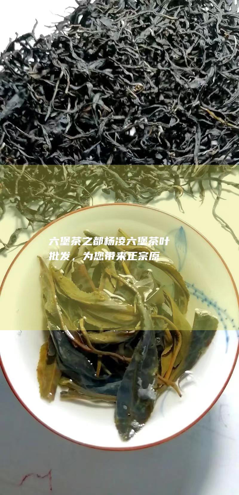 六堡茶之都：杨凌六堡茶叶批发，为您带来正宗原产好茶