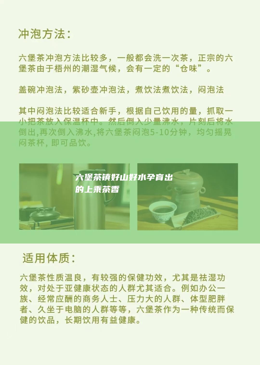 六堡茶镇：好山好水孕育出的上乘茶香