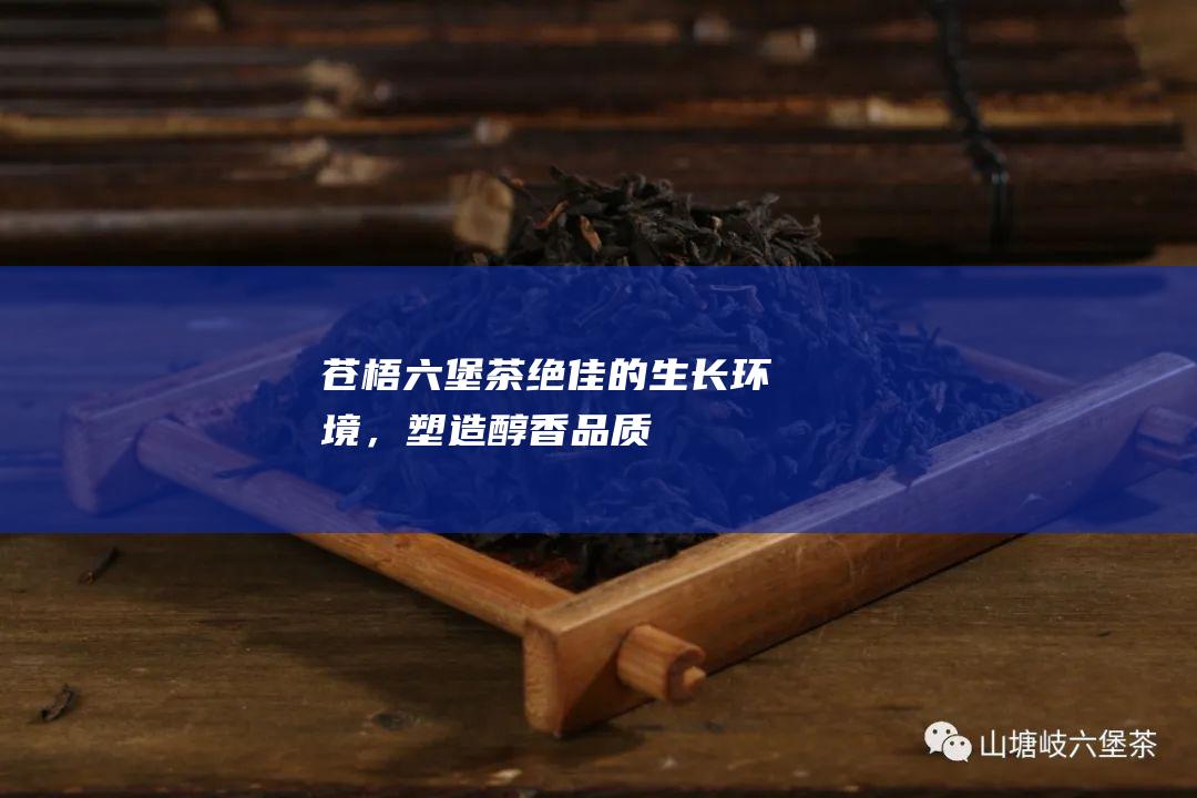 苍梧六堡茶：绝佳的生长环境，塑造醇香品质