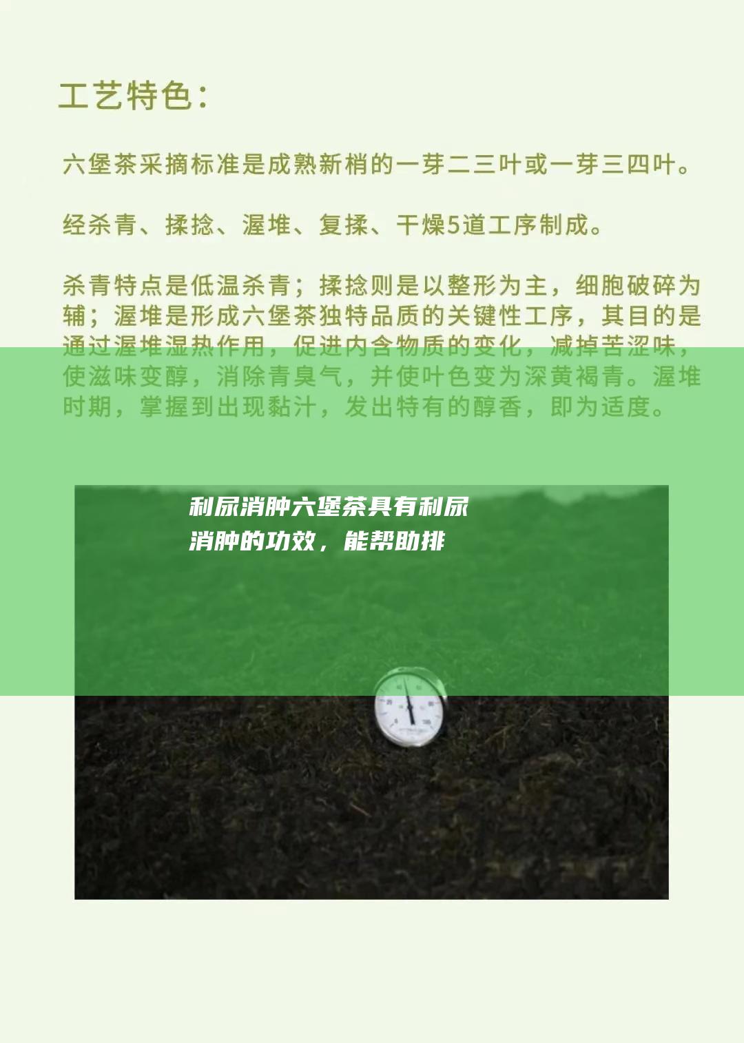 利尿消肿：六堡茶具有利尿消肿的功效，能帮助排出体内多余的水分和毒素。