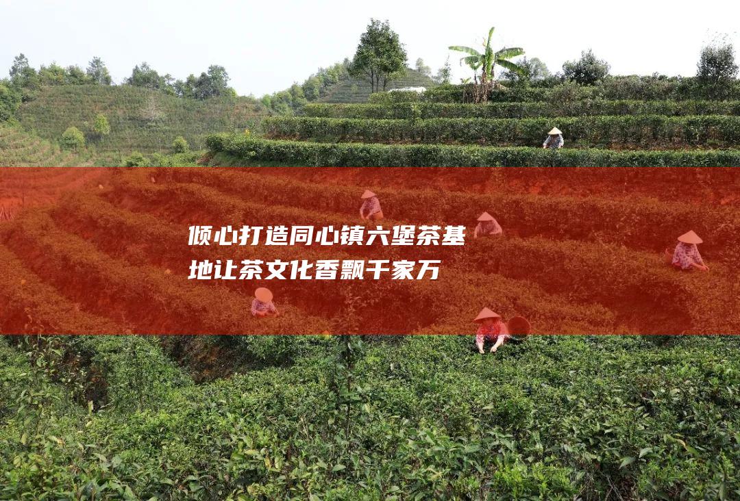 倾心打造同心镇六堡茶基地：让茶文化香飘千家万户